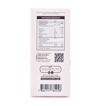 CURCUMA +  JENGIBRE TABLETAS FRASCO X 60 UNIDADES