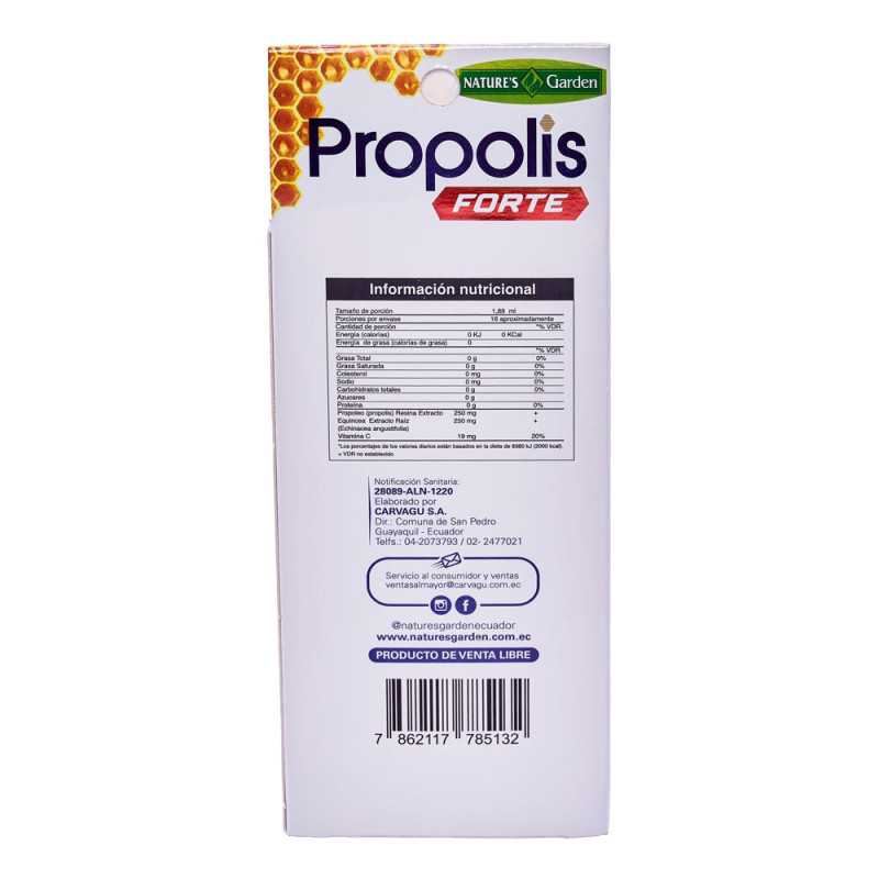 PROPOLIS SPRAY FRASCO X 30 ML