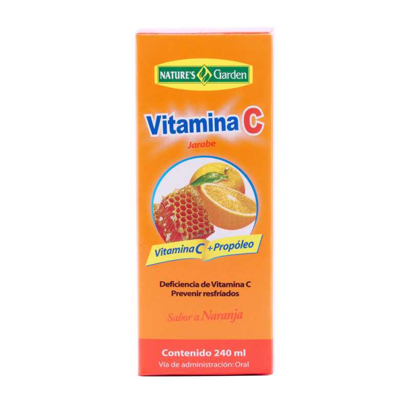 VITAMINA C JARABE FRASCO X 240 ML