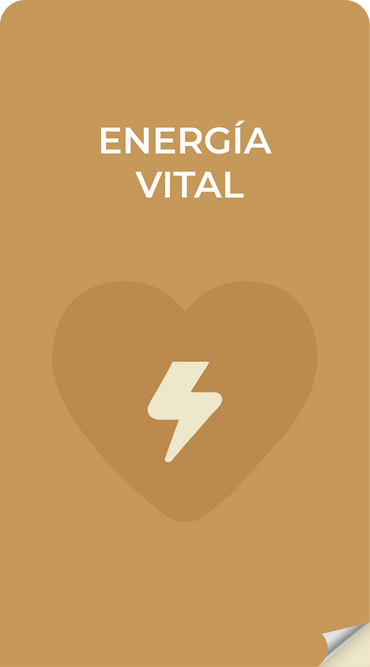 ENERGIA VITAL