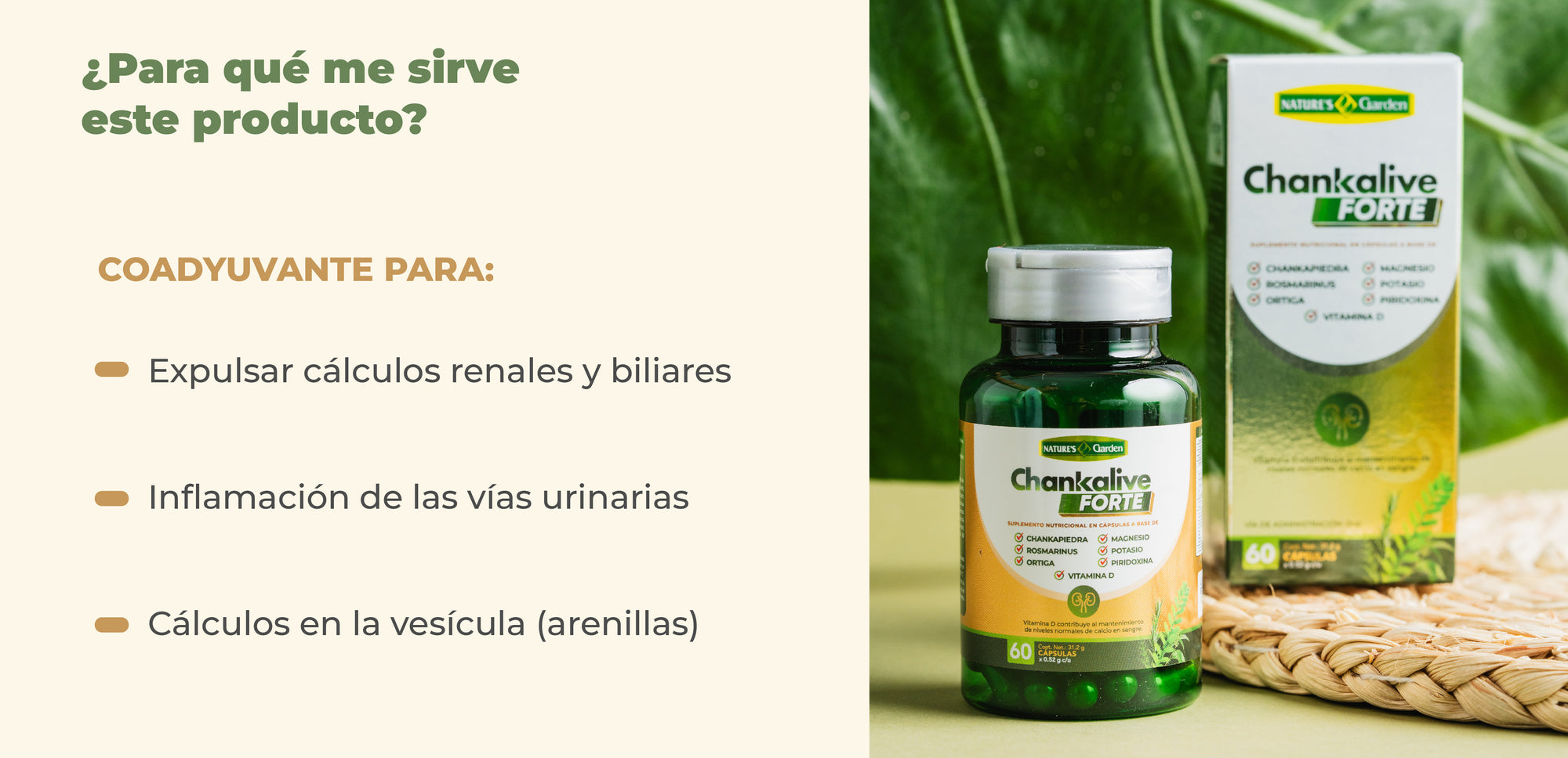 Beneficios