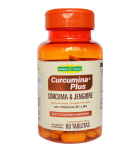 CÚRCUMA Y JENGIBRE