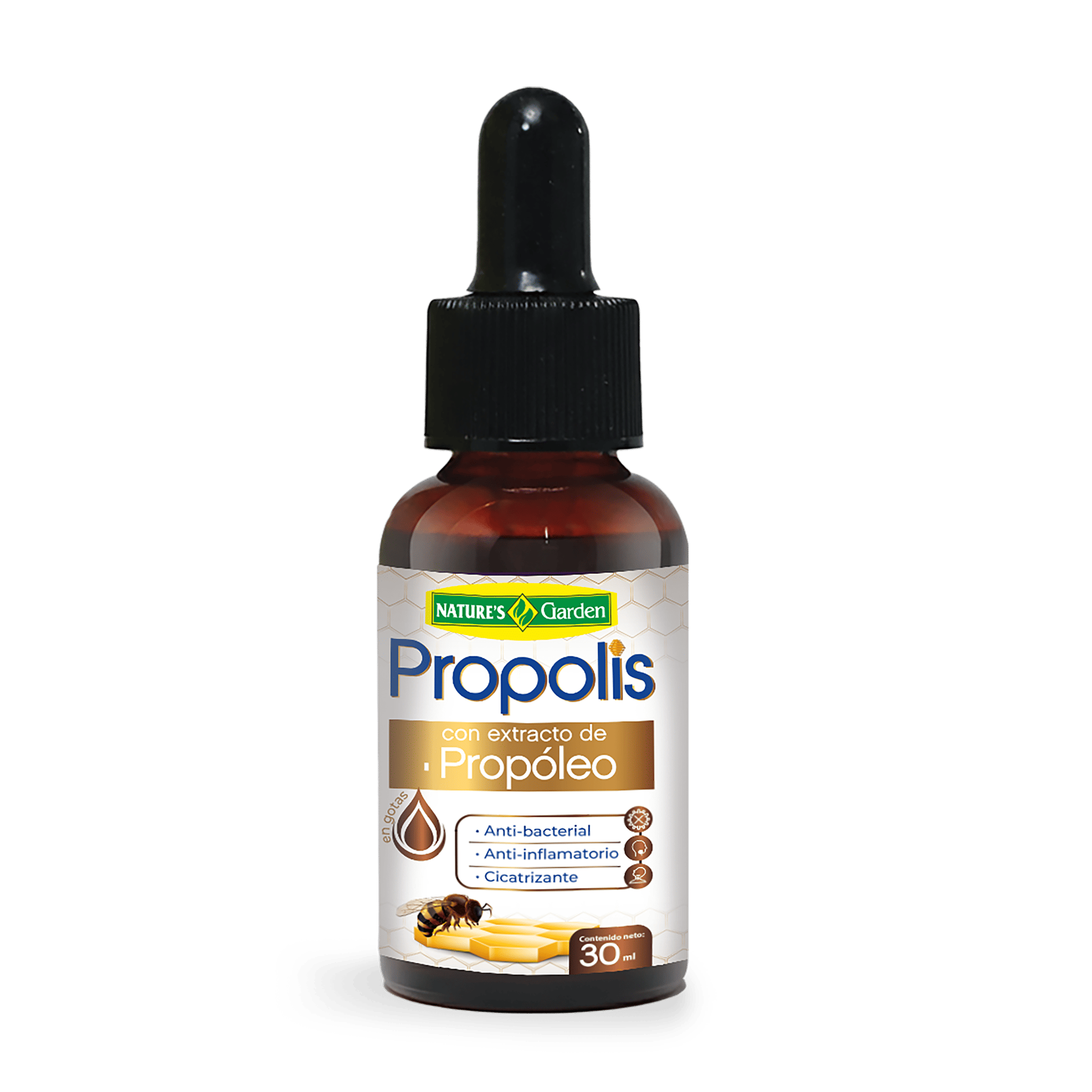 PROPOLIS
