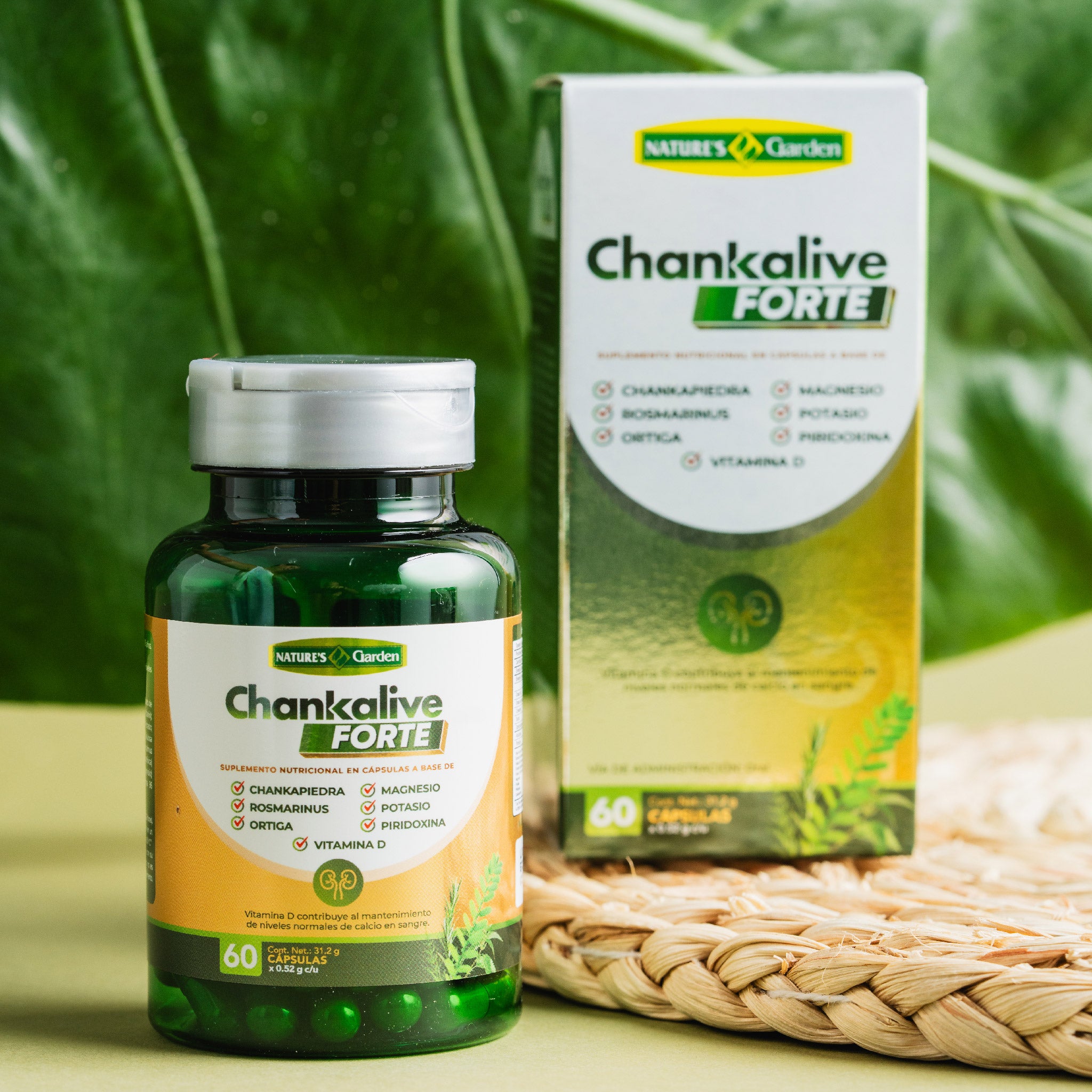 CHANKALIVE FORTE