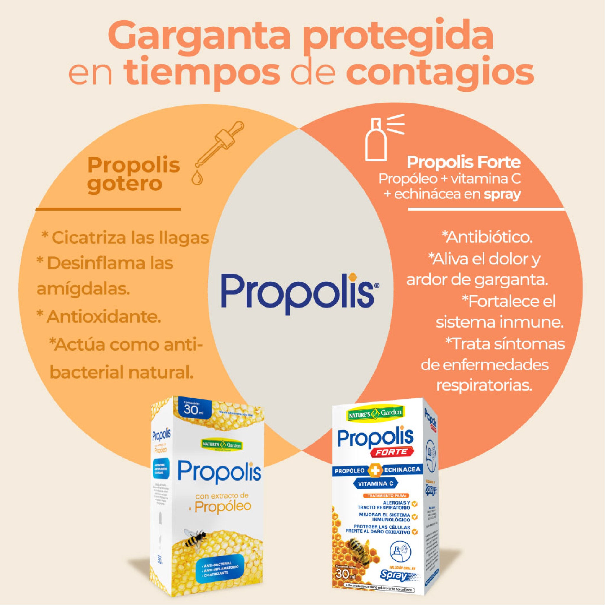 PROPOLIS FORTE