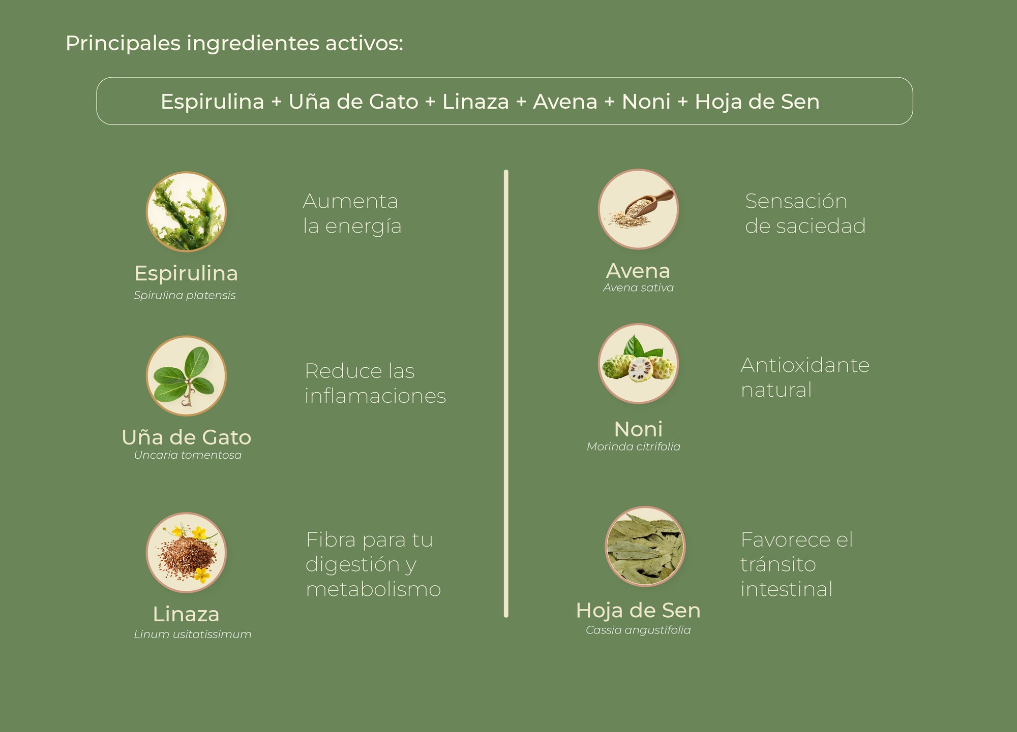 Principios activos