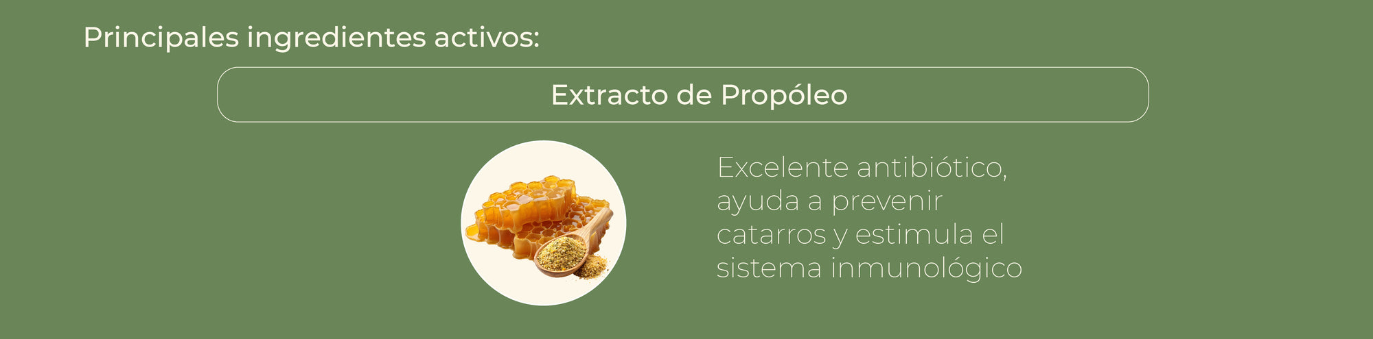 Principios activos