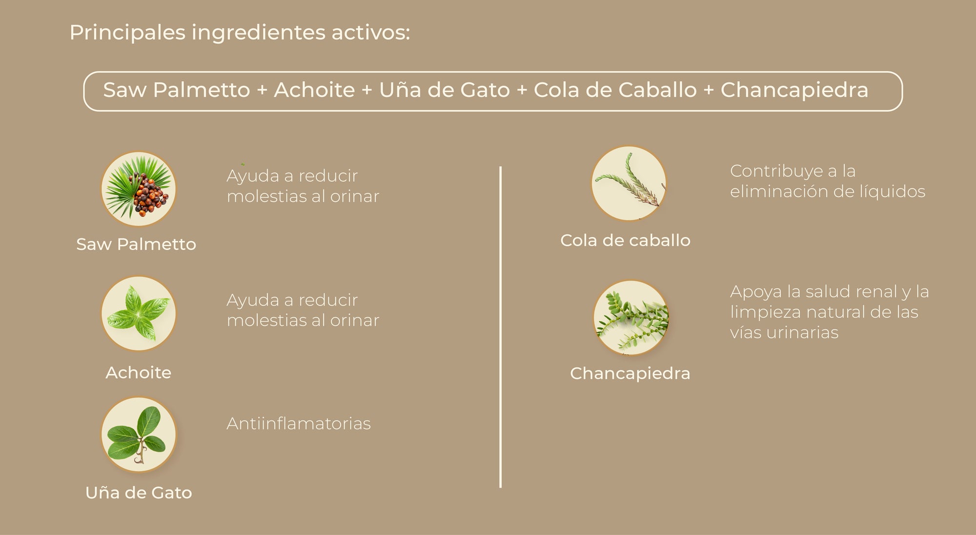 Principios activos