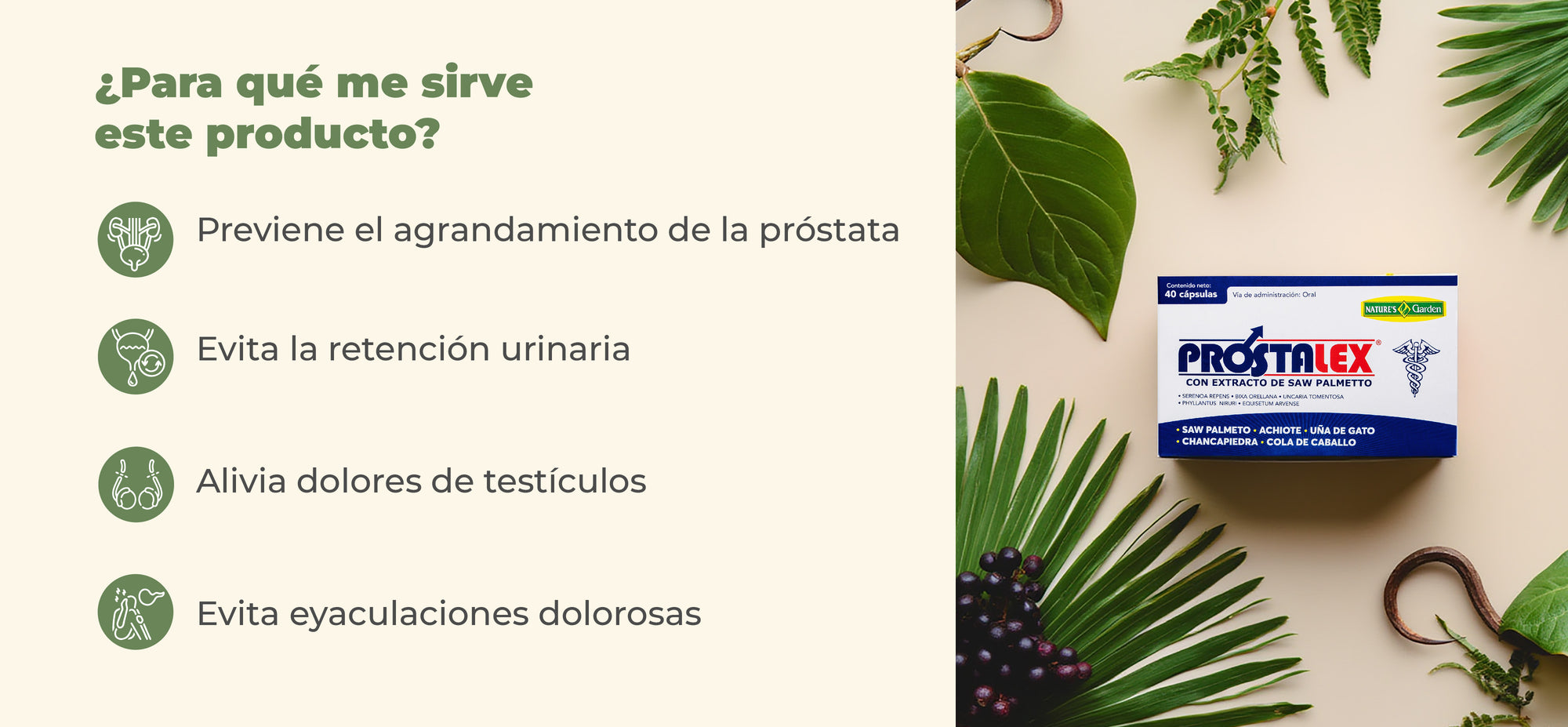 Beneficios